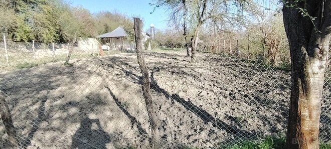 Həyət evi/Bağ evi - Qəbələ - 250 m² (10)