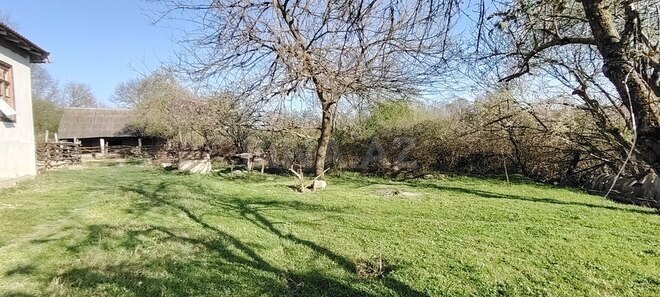 Həyət evi/Bağ evi - Qəbələ - 250 m² (8)