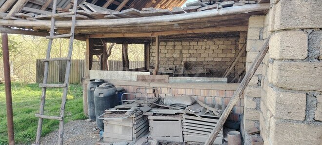 Həyət evi/Bağ evi - Qəbələ - 250 m² (15)