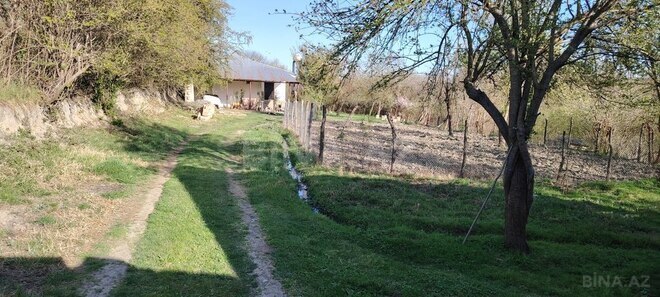 Həyət evi/Bağ evi - Qəbələ - 250 m² (16)