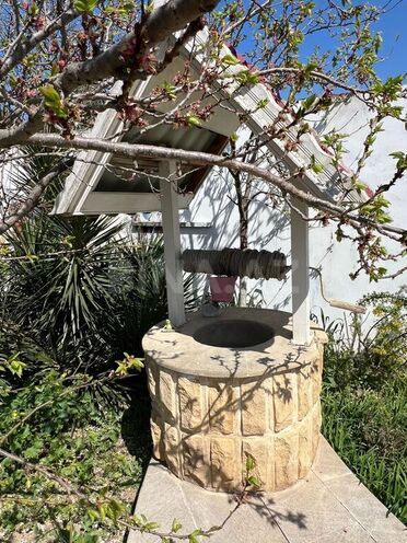 5 otaqlı həyət evi/bağ evi - Buzovna q. - 240 m² (9)