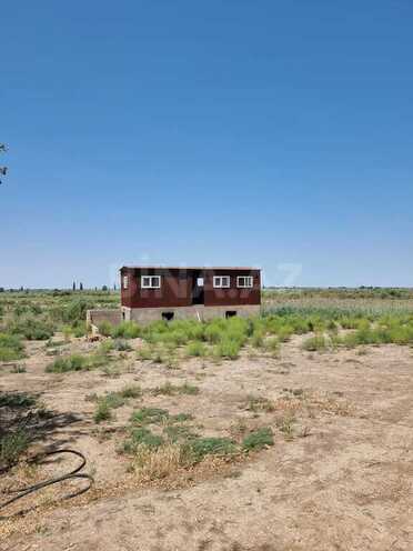 Obyekt - Salyan - 800000 m² (8)