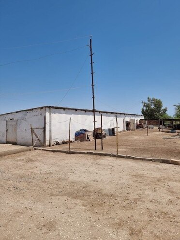 Obyekt - Salyan - 800000 m² (6)