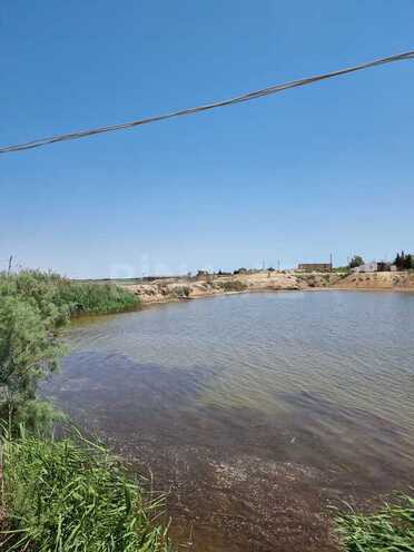 Obyekt - Salyan - 800000 m² (19)