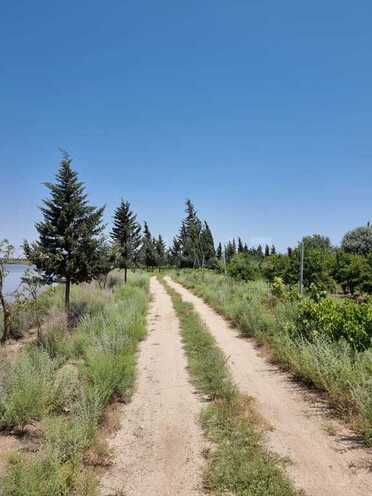 Obyekt - Salyan - 800000 m² (2)