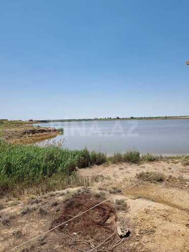 Obyekt - Salyan - 800000 m² (11)