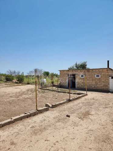 Obyekt - Salyan - 800000 m² (14)