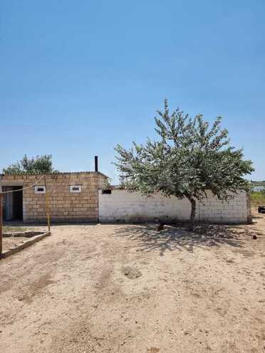 Obyekt - Salyan - 800000 m² (25)