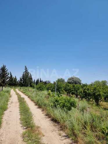 Obyekt - Salyan - 800000 m² (18)