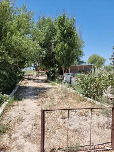 Obyekt - Salyan - 800000 m² (24)