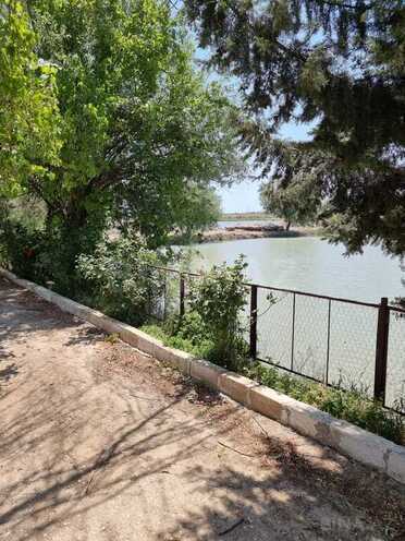 Obyekt - Salyan - 800000 m² (1)