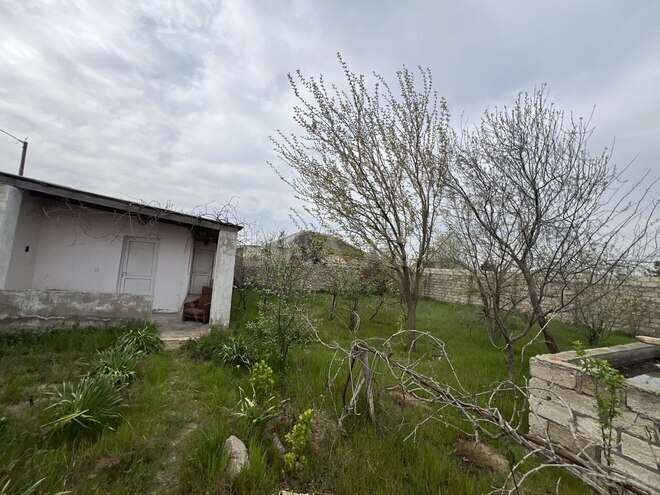 5 otaqlı həyət evi/bağ evi - Xəzər r. - 600 m² (4)