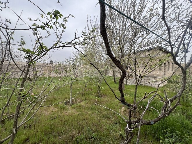 5 otaqlı həyət evi/bağ evi - Xəzər r. - 600 m² (5)