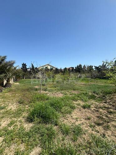 6 otaqlı həyət evi/bağ evi - Xəzər r. - 500 m² (23)