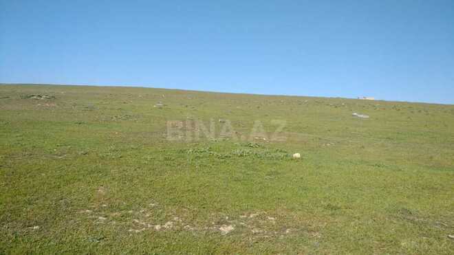 Продаётся  участок 55 сот, пос. Мехтиабад, photo 4 from 10