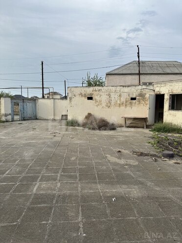 5 otaqlı həyət evi/bağ evi - Novxanı q. - 250 m² (2)
