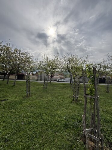 6 otaqlı həyət evi/bağ evi - Zaqatala - 200 m² (3)