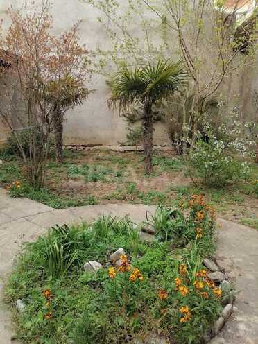 9 otaqlı həyət evi/bağ evi - Yeni Günəşli q. - 600 m² (4)