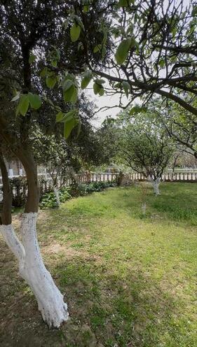 5 otaqlı həyət evi/bağ evi - Badamdar q. - 400 m² (25)