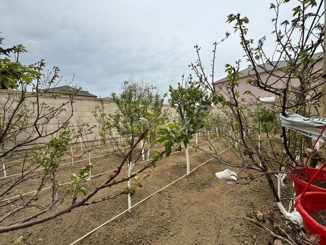 Satılır 9 otaqlı həyət evi/bağ evi 600 m², Badamdar q., photo 24 from 28