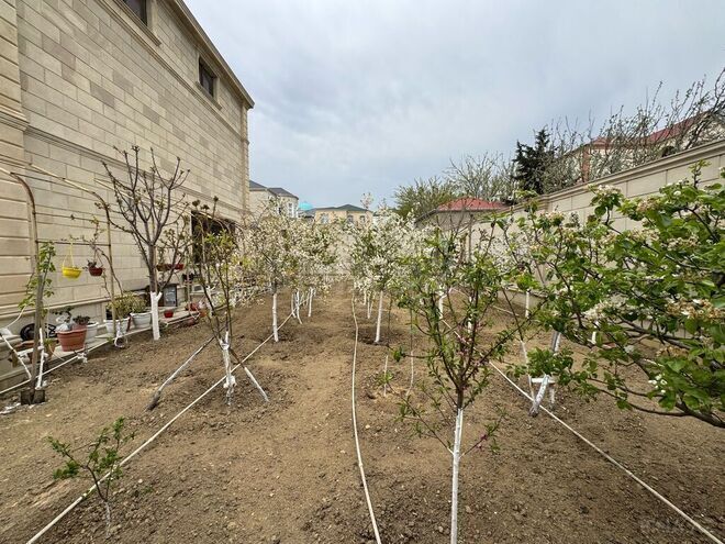 Satılır 9 otaqlı həyət evi/bağ evi 600 m², Badamdar q., photo 3 from 28