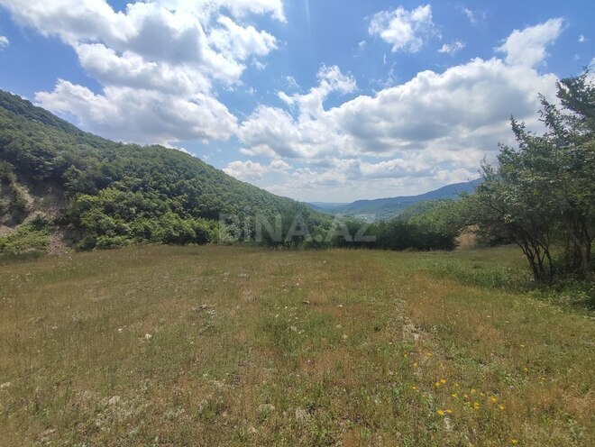 Продаётся  участок 500 сот, photo 23 from 32