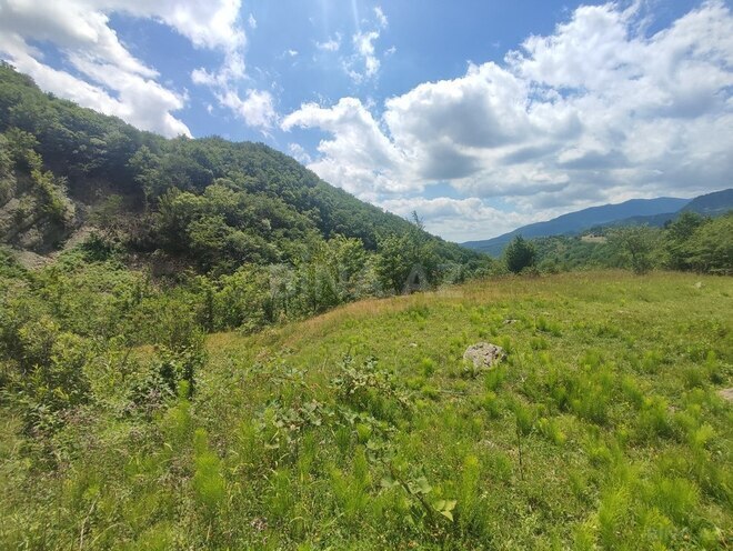 Продаётся  участок 500 сот, photo 26 from 32
