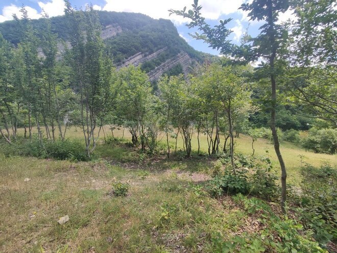 Продаётся  участок 500 сот, photo 20 from 32