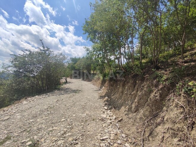Продаётся  участок 500 сот, photo 27 from 32