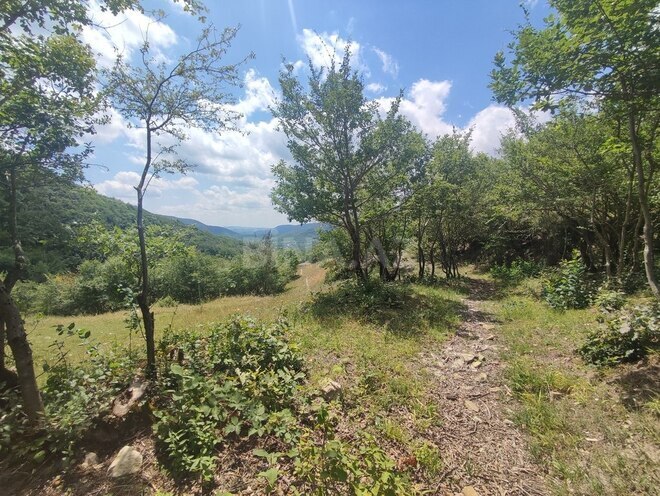 Продаётся  участок 500 сот, photo 22 from 32