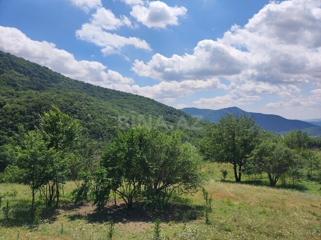 Продаётся  участок 500 сот, photo 28 from 32