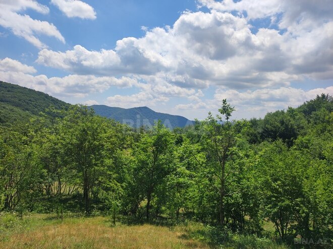 Продаётся  участок 500 сот, photo 10 from 32