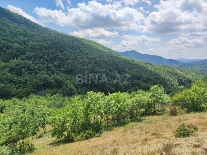 Продаётся  участок 500 сот, photo 19 from 32
