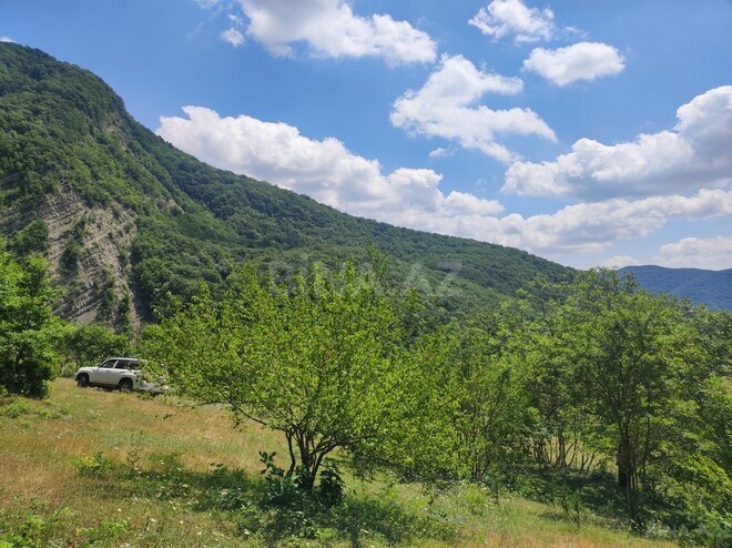 Продаётся  участок 500 сот, photo 11 from 32