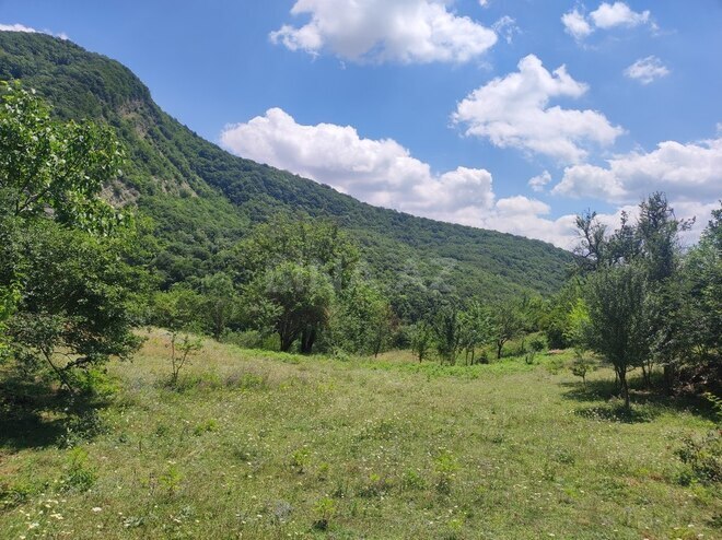 Продаётся  участок 500 сот, photo 8 from 32