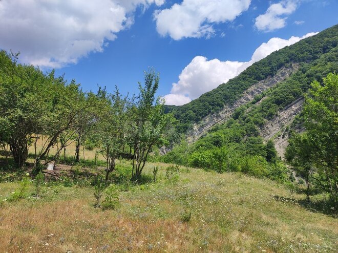 Продаётся  участок 500 сот, photo 18 from 32