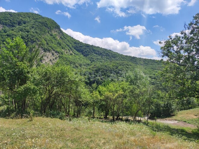 Продаётся  участок 500 сот, photo 17 from 32