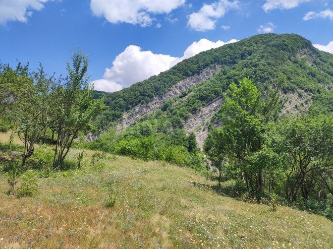 Продаётся  участок 500 сот, photo 16 from 32