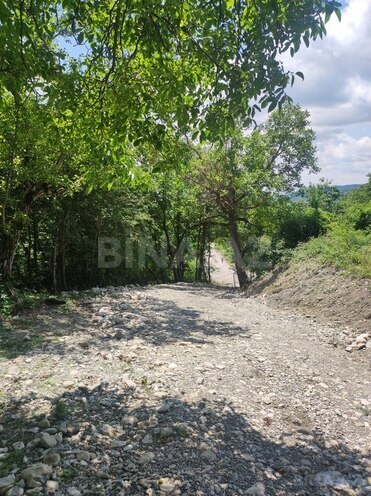 Продаётся  участок 500 сот, photo 5 from 32