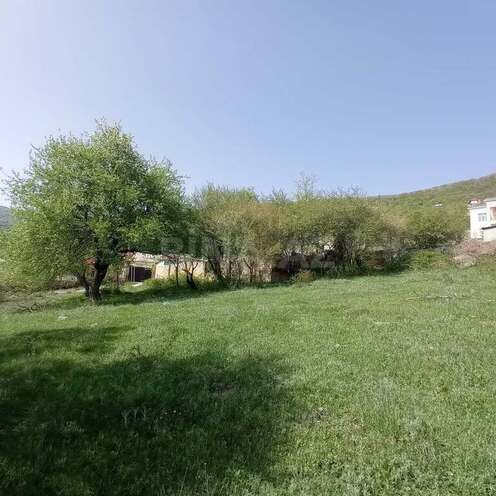 Torpaq - Şamaxı - 12 sot (2)