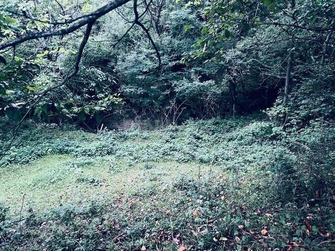 5 otaqlı həyət evi/bağ evi - Qəbələ - 149 m² (16)