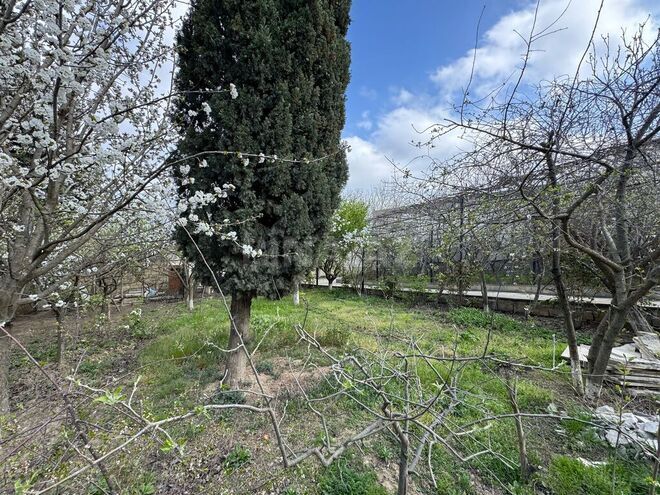 Продаётся  участок 30 сот, пос. Бадамдар, photo 28 from 31