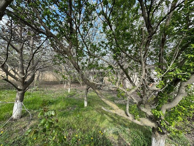 Продаётся  участок 30 сот, пос. Бадамдар, photo 14 from 31