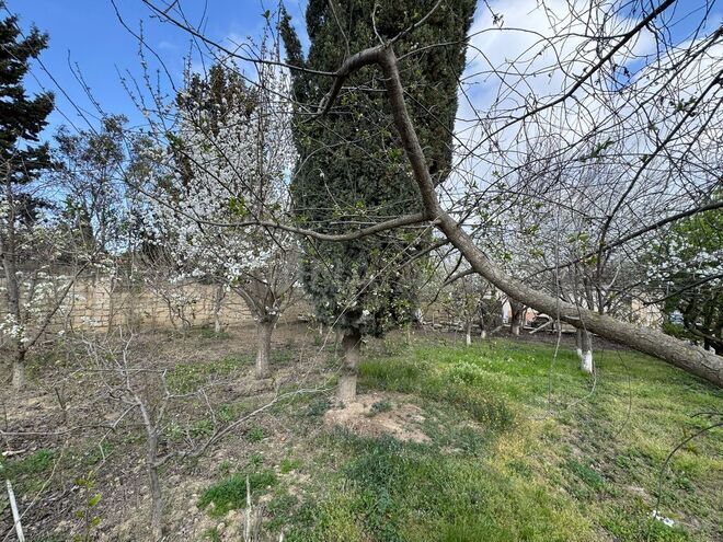 Продаётся  участок 30 сот, пос. Бадамдар, photo 11 from 31