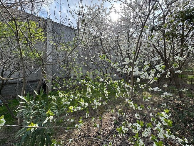 Продаётся  участок 30 сот, пос. Бадамдар, photo 23 from 31