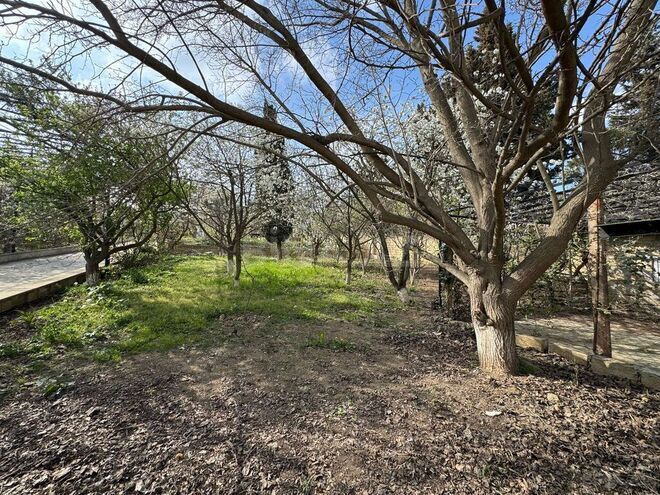 Продаётся  участок 30 сот, пос. Бадамдар, photo 7 from 31