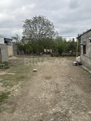 3 otaqlı həyət evi/bağ evi - Goranboy - 100 m² (13)