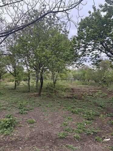 3 otaqlı həyət evi/bağ evi - Goranboy - 100 m² (16)