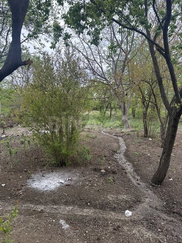3 otaqlı həyət evi/bağ evi - Goranboy - 100 m² (17)