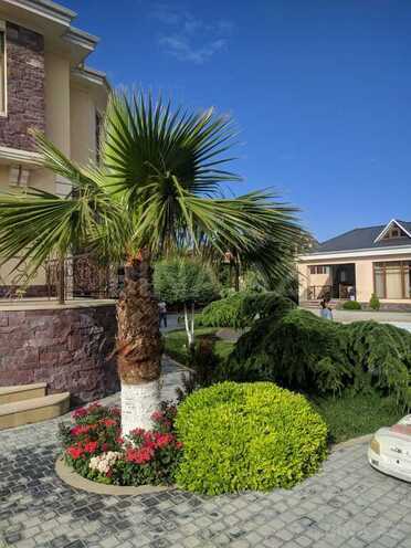 6 otaqlı həyət evi/bağ evi - Fatmayı q. - 400 m² (7)